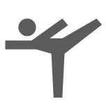 sports_gymnastics