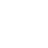 stethoscope